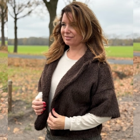 Teddy gilet met kraag bruin Jola