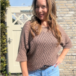 Bruine opengewerkte trui ronde hals Claudia